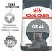 Royal Canin Dental Care Сухой корм для взрослых кошек для здоровья зубов – интернет-магазин Ле’Муррр